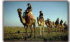 Rajasthan Camel Safari